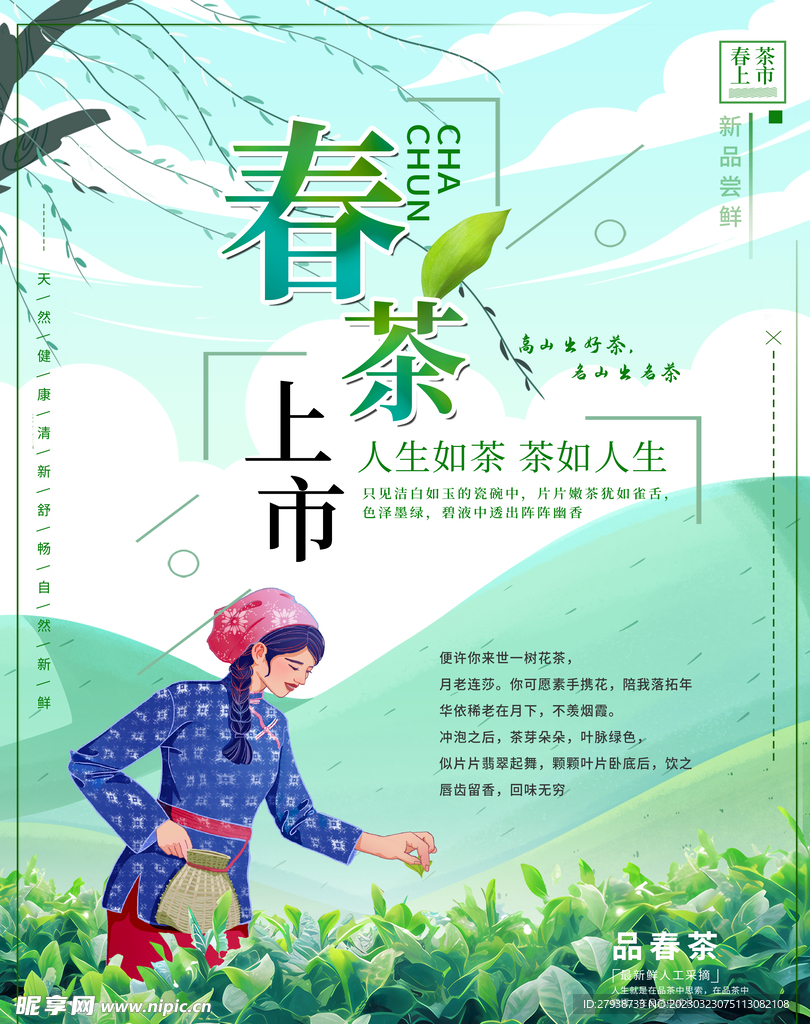 春茶