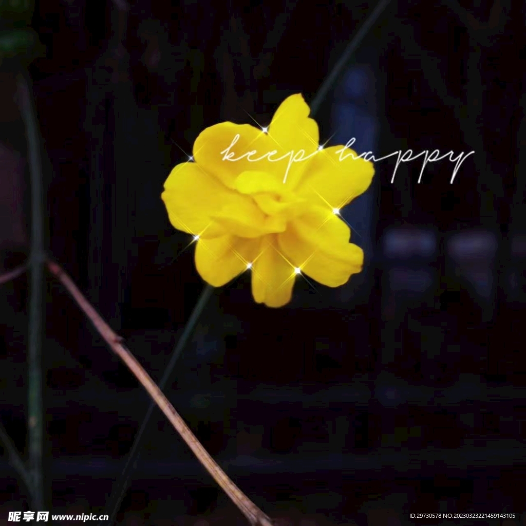 小黄花