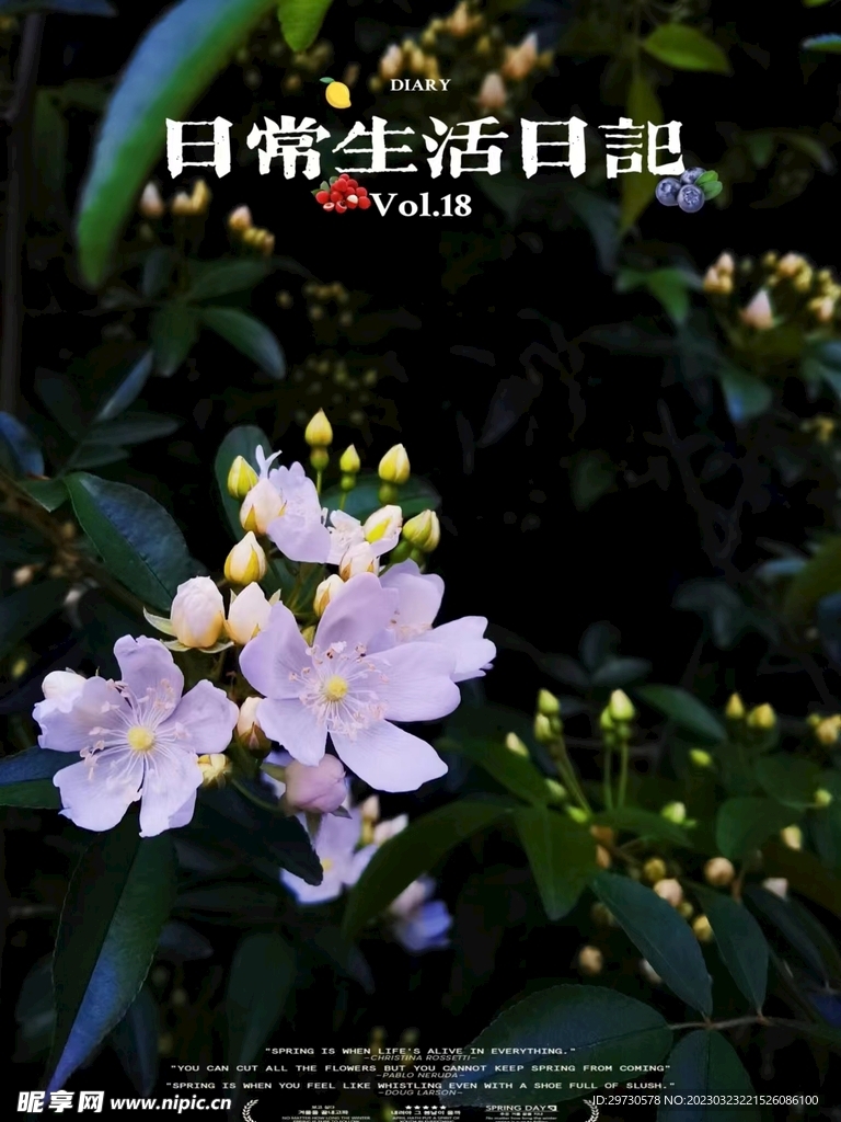 兰花