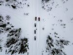 雪地