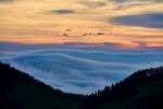山