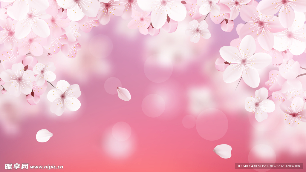 樱花背景
