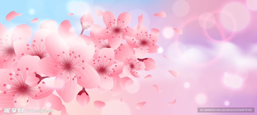 樱花素材