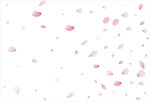 花瓣