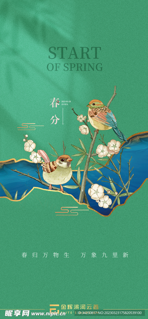 节气海报 