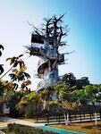 珠海城市旅游天梯树拍摄