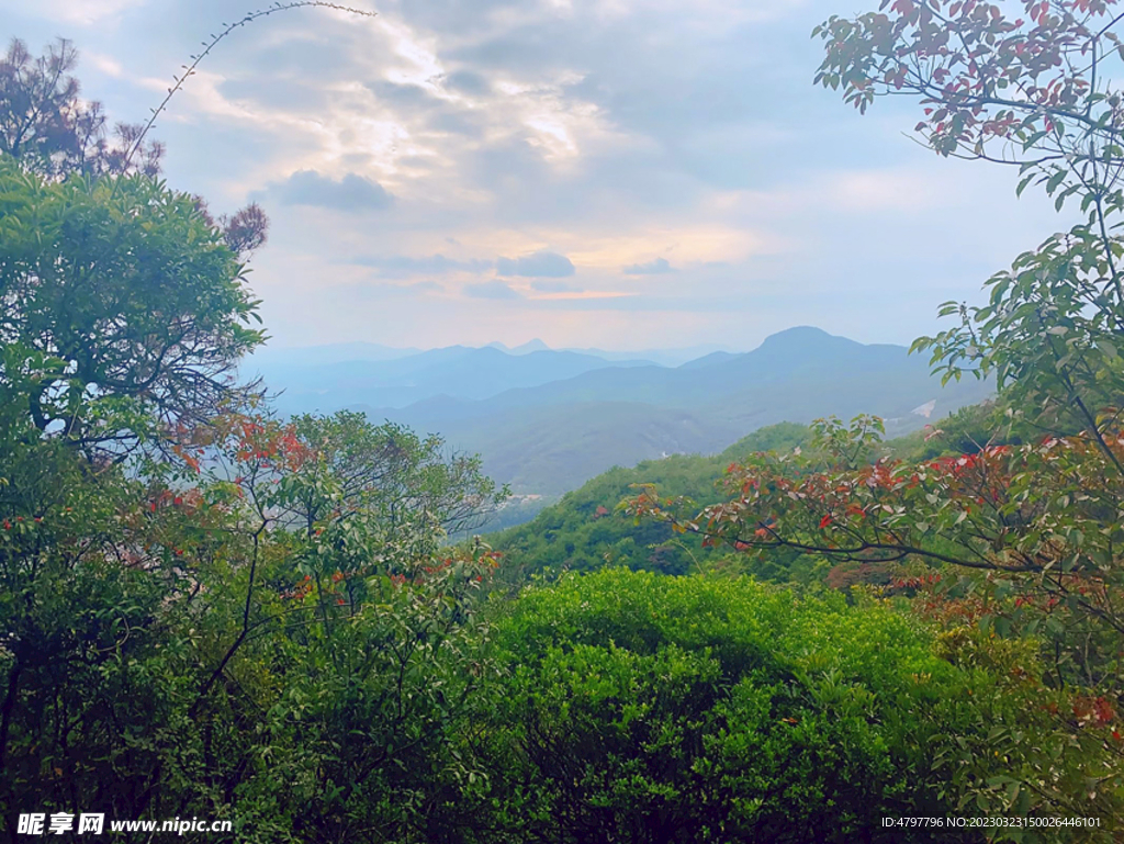 风景