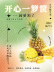 弥散光 轻拟物凤梨海报