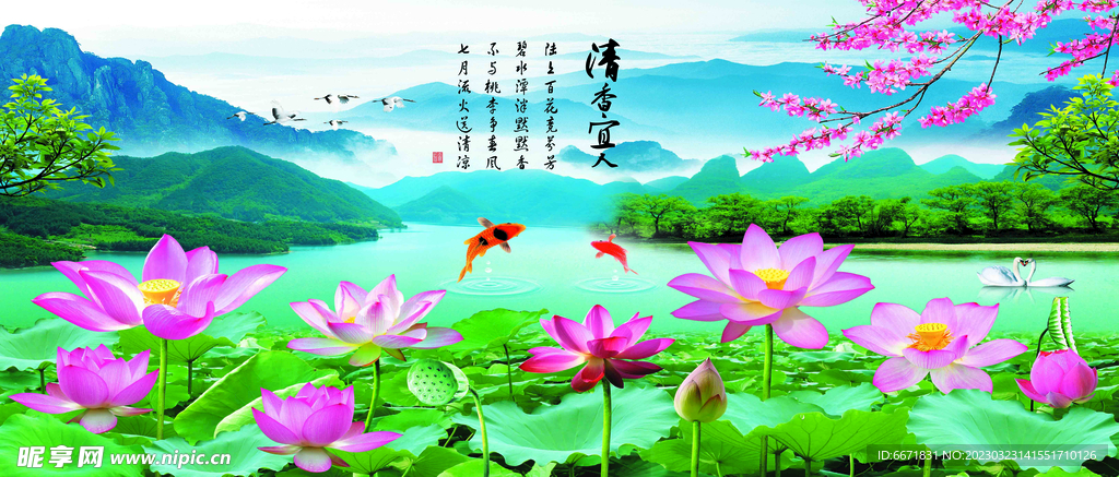 荷花