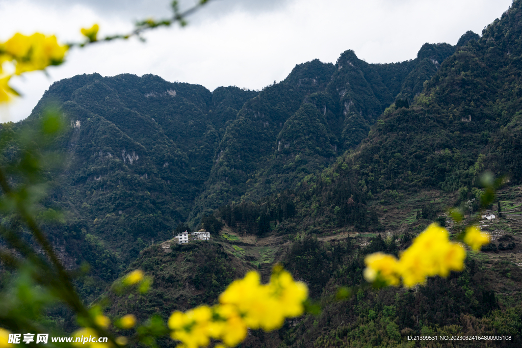 笔架山特写