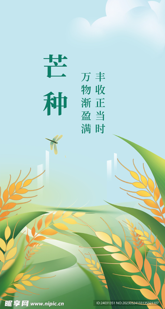 芒种