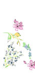 花卉