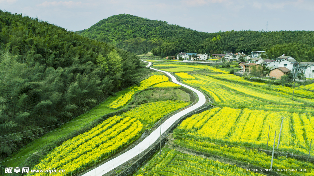 最美乡村路