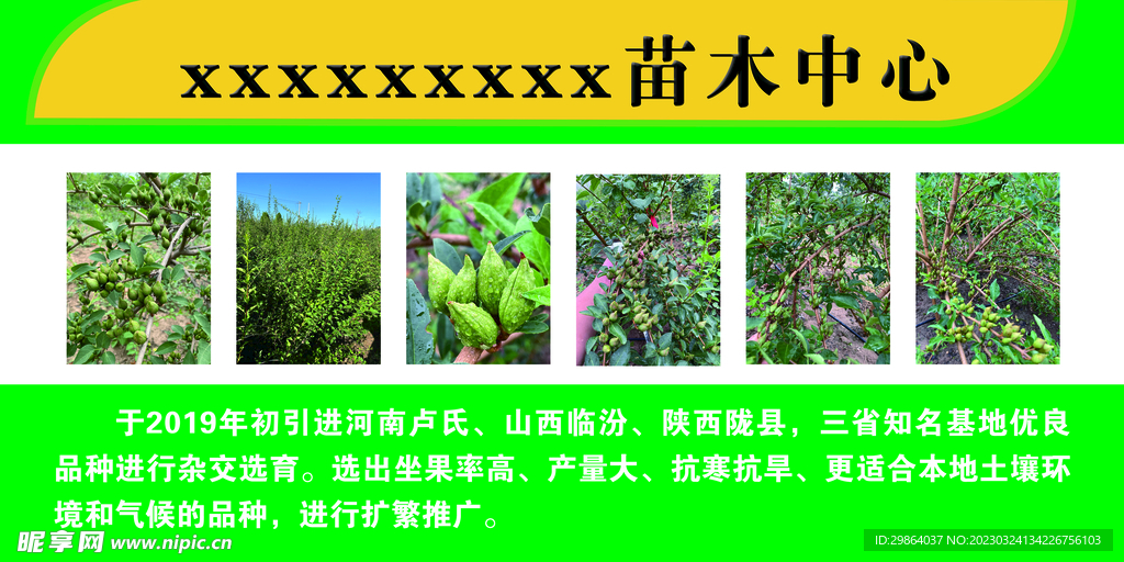 苗木销售