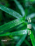 清明节海报