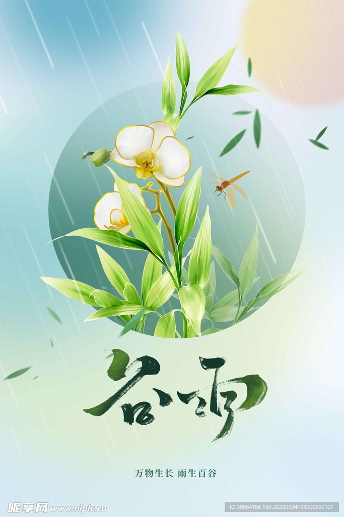 谷雨