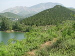 青山