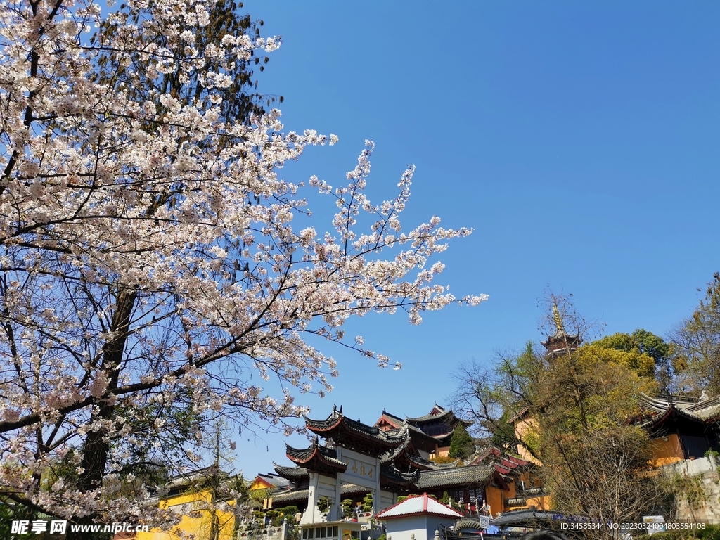 鸡鸣寺