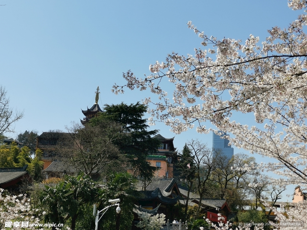 鸡鸣寺   