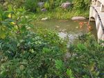 拈花湾  