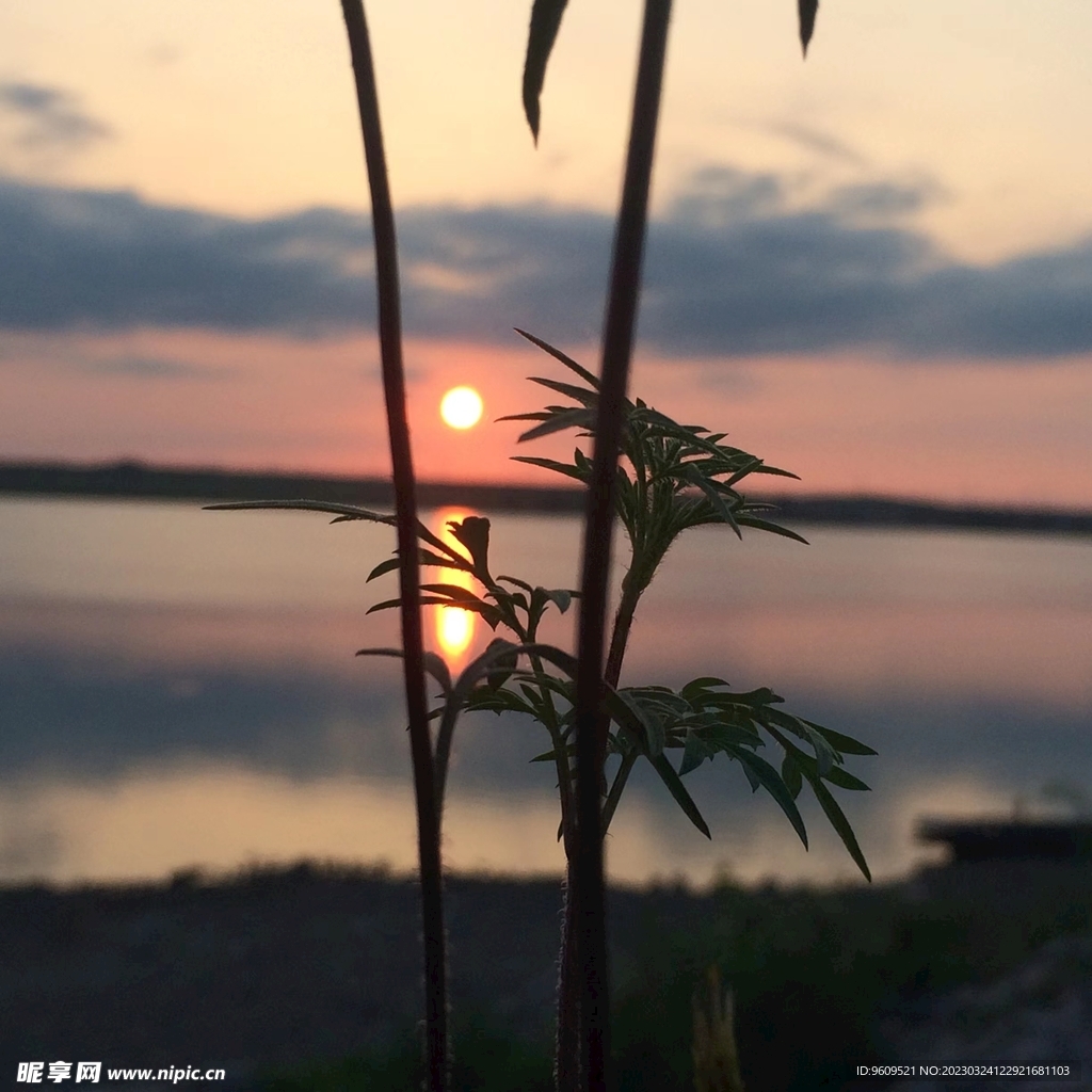 自然景观夕阳落日真实照片