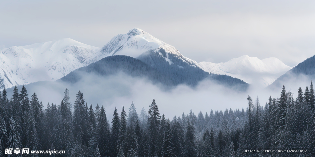 茫茫雪山