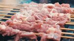 实拍烤羊肉串烧烤烤肉BBQ视频