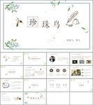 珍珠鸟