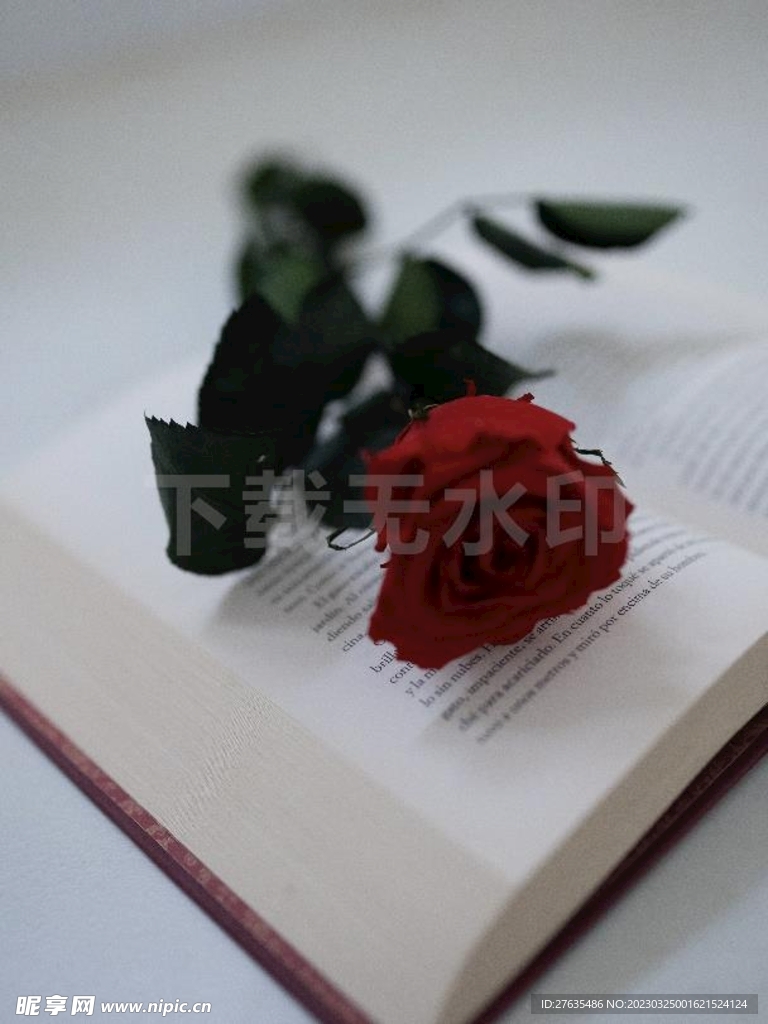 书上放玫瑰
