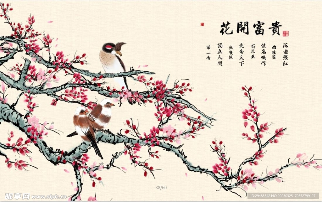 花开富贵