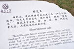 梅花玉简介石刻碑