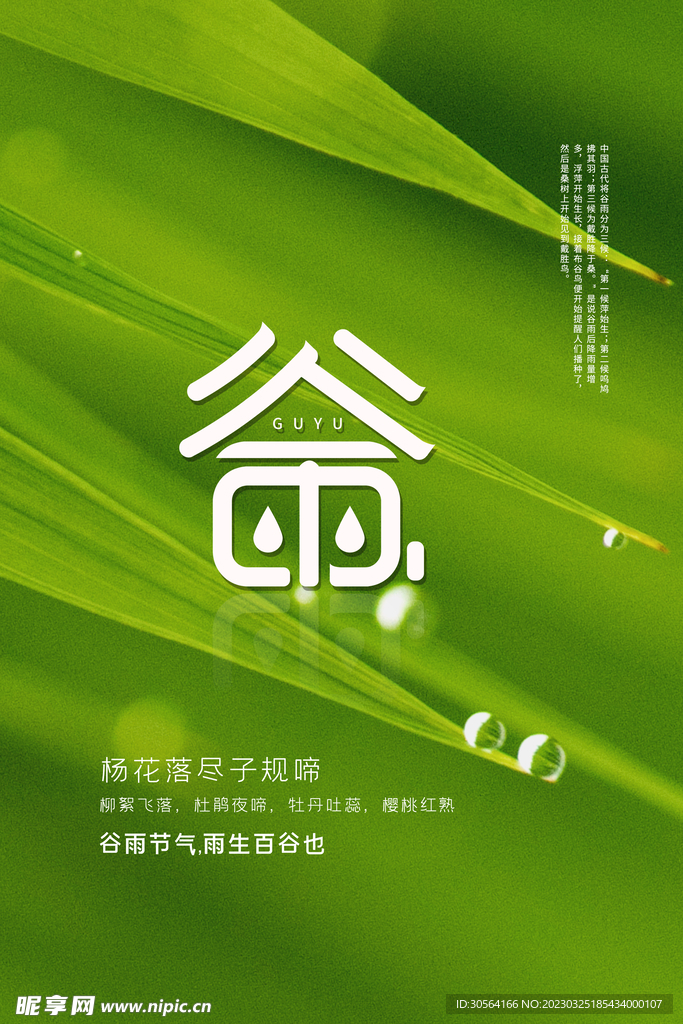 谷雨
