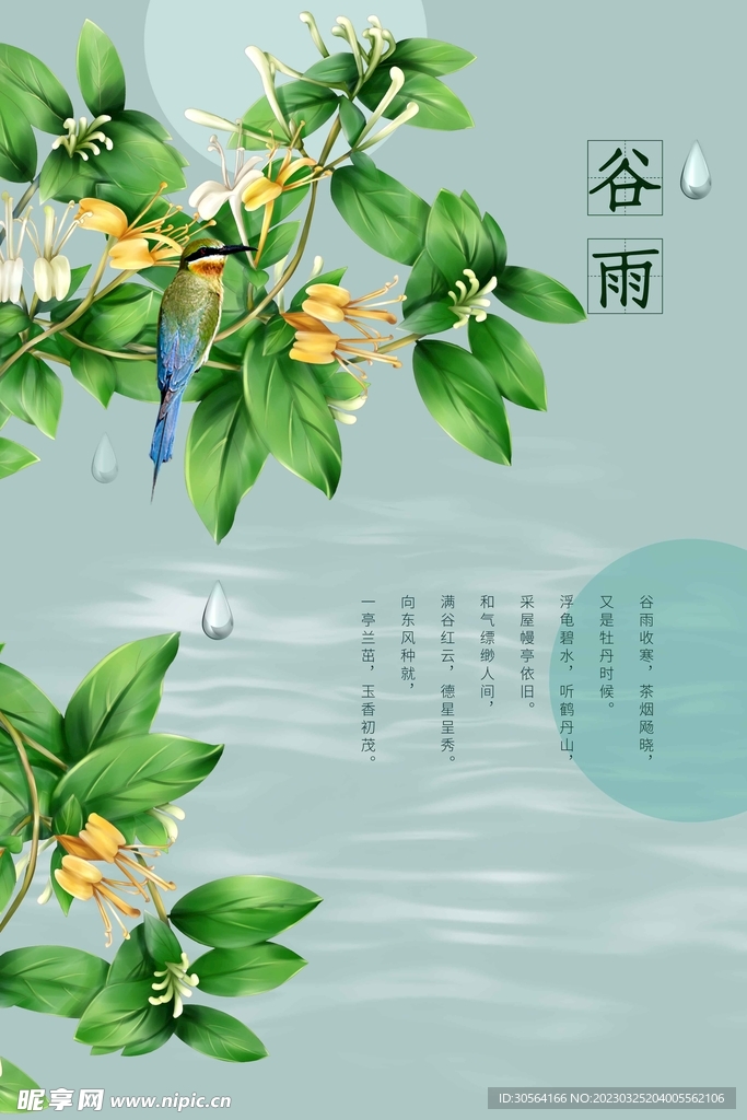 谷雨