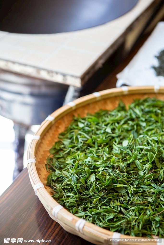  新鲜茶叶          