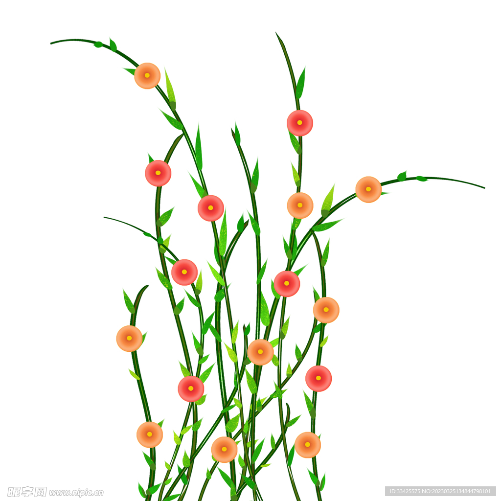 绿色植物
