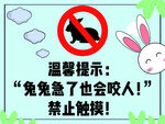 禁止触摸兔子