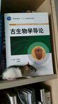 鼠
