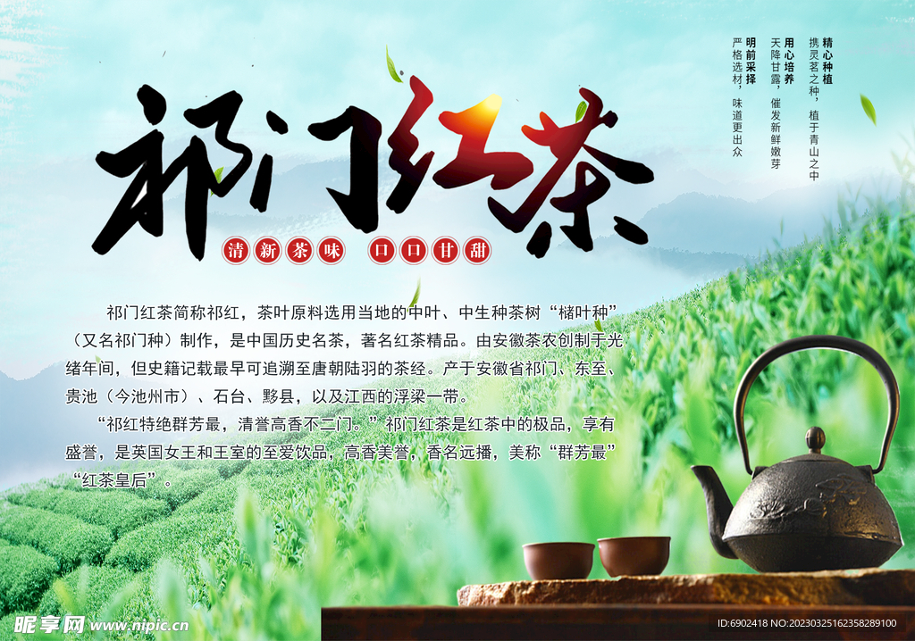 祁门红茶