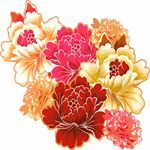 牡丹花
