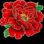 牡丹花