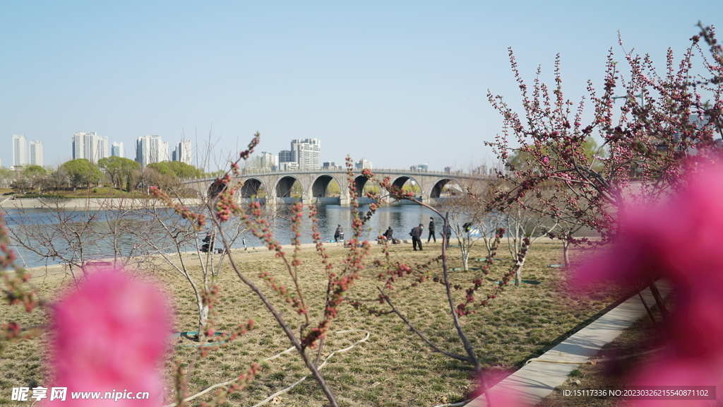 春天河边风景