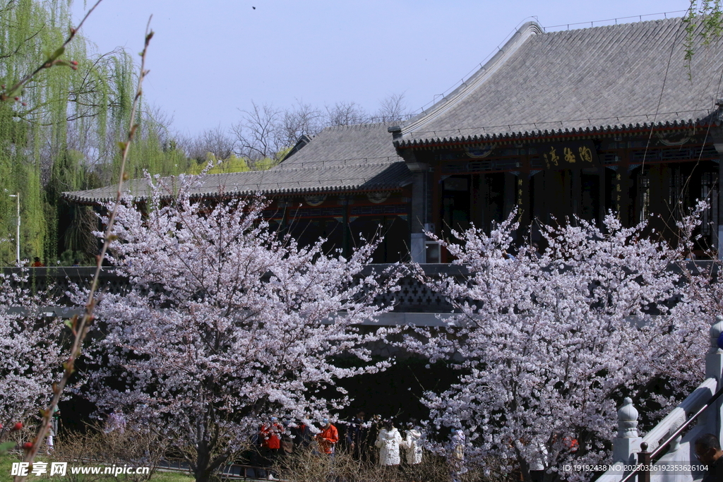  陶然亭风景