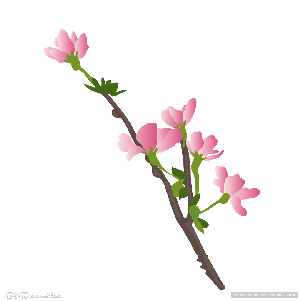 桃花