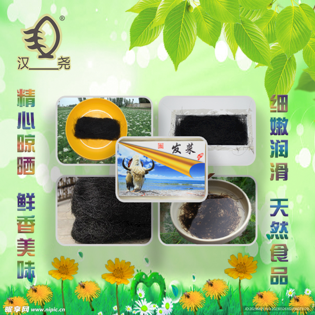 发菜主图