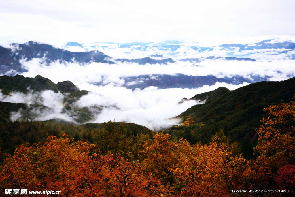 百花山云海 云层 山顶 