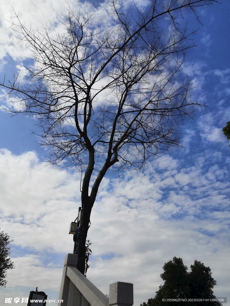 天空