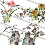 梅兰菊矢量图