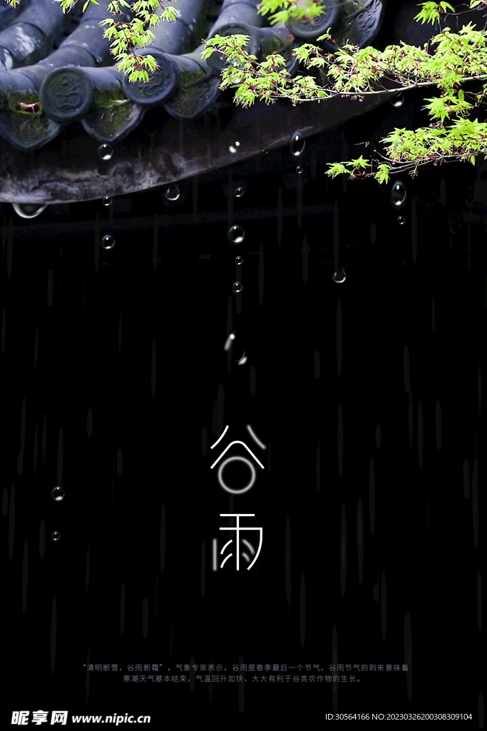 谷雨