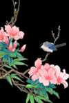 花花