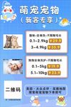 宠物洗护活动